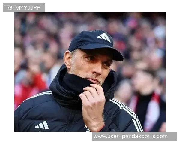 费迪南德心中理想曼联主帅人选揭晓德泽尔比和图赫尔成热门选择